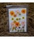 Flores seca tono naranja