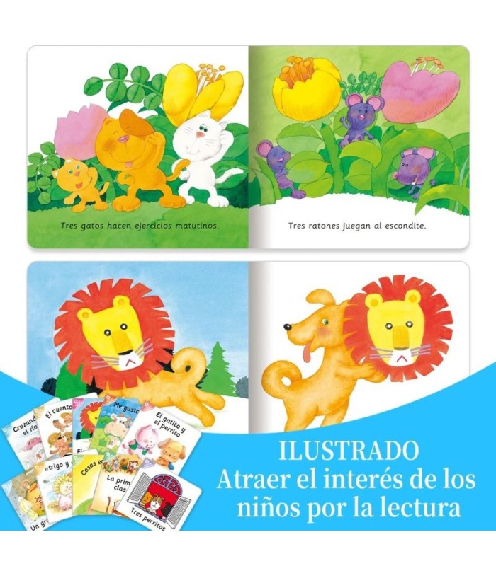libro de cuento surtido la Ud.