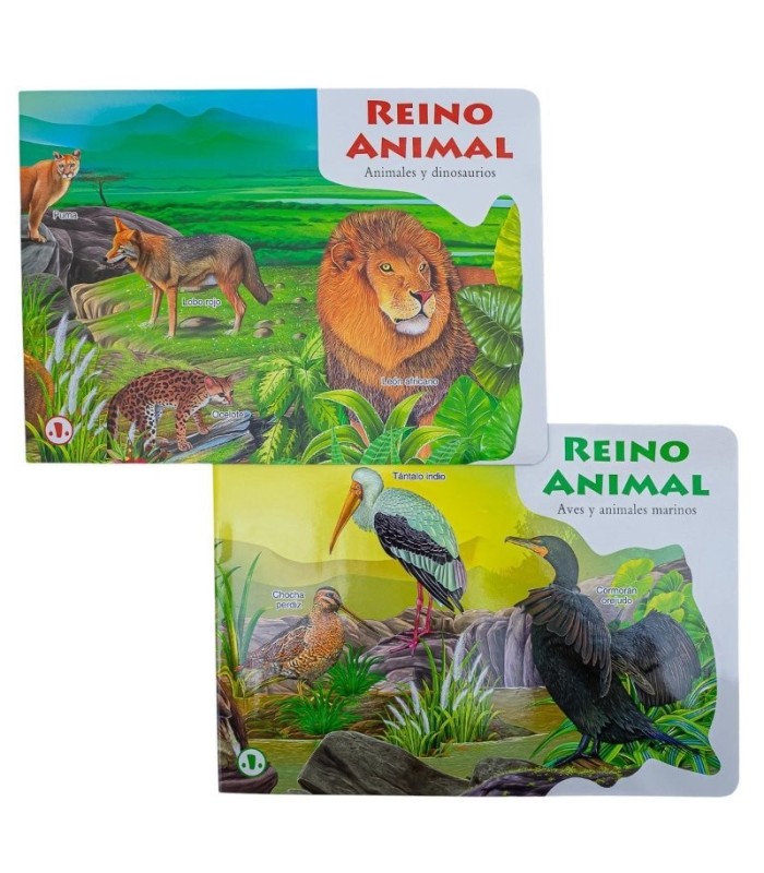 Libro de aprendizaje
