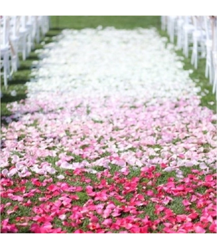petalos artificiales en paquete