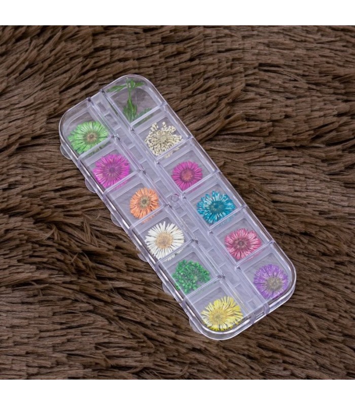 Flor seca 12 compartimiento (24pc)