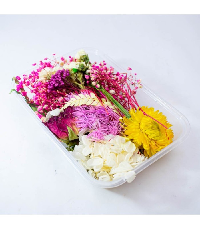 Flor seca de bricolage surtido