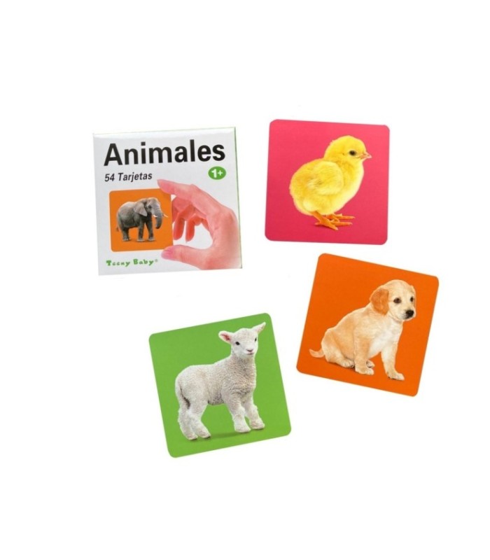 Tarjeta de aprendizaje animales 54pc