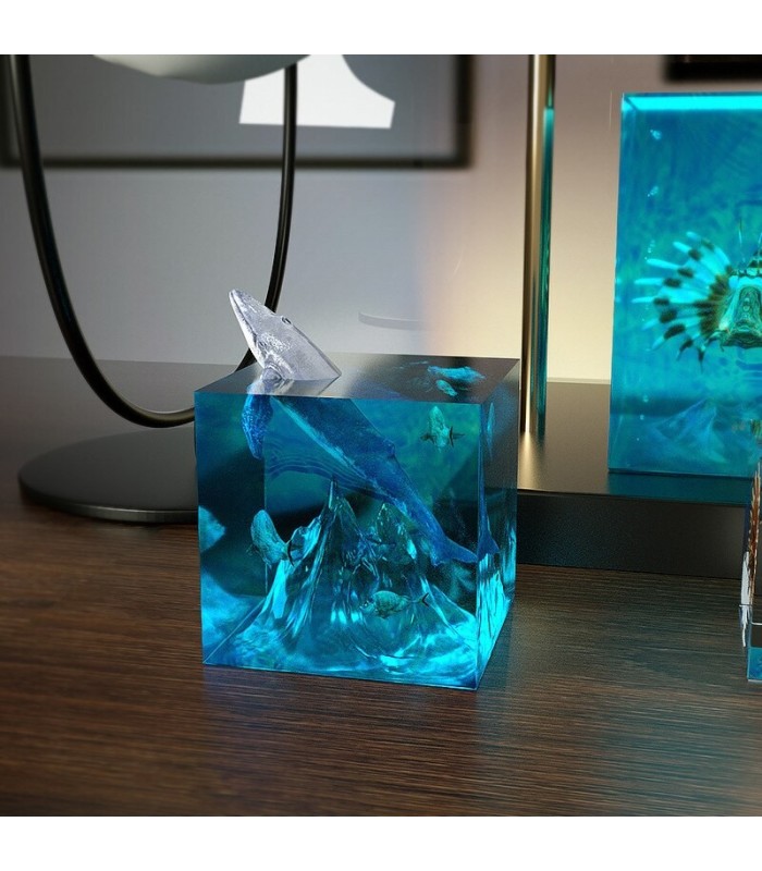 Molde de silicona transparente cubo 50x50x50mm