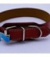 Collar de perro cuerina 50cm